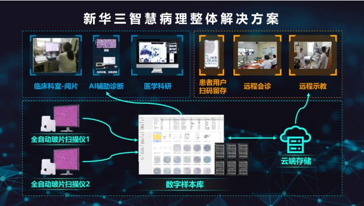 人工智能应用软件开发 创新驱动行业新未来